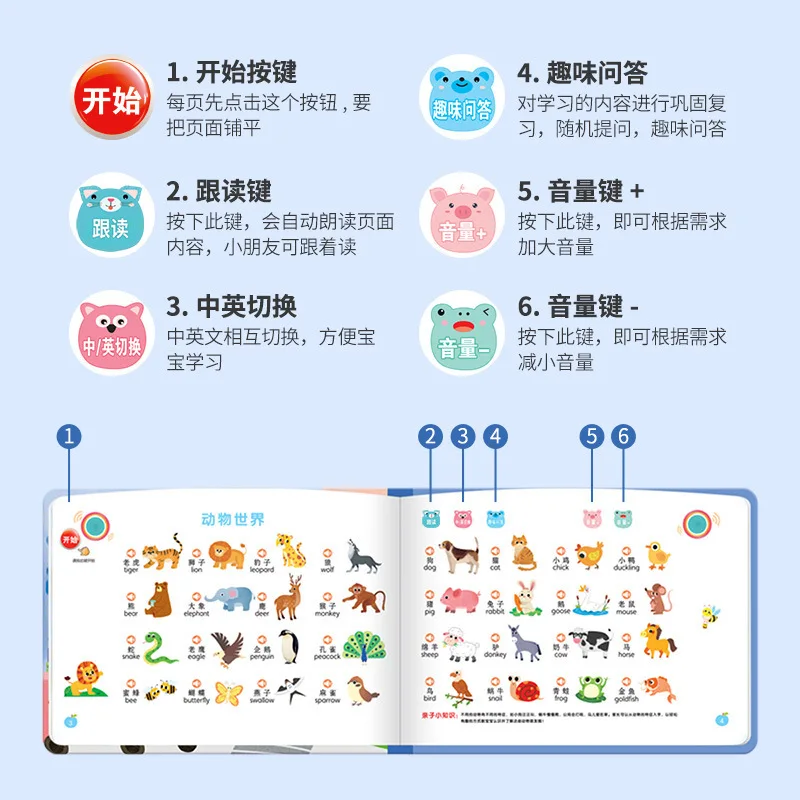 아이들을 위한 터치식 음성 동화책, 중국어, 영어, 광 - Kids Education Rhymes 리뷰 및 가격